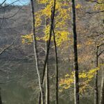 Bolu Gezi Notları: Doğanın Başkentine Yolculuk